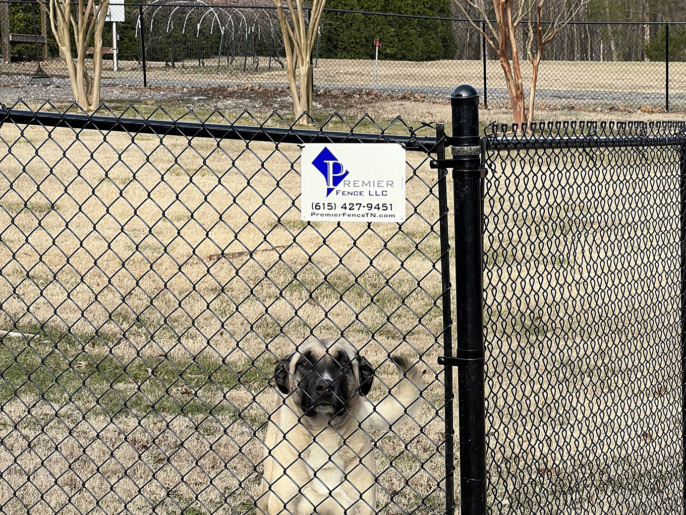 Photo of a chain link dog fence in Murfreesboro, TN