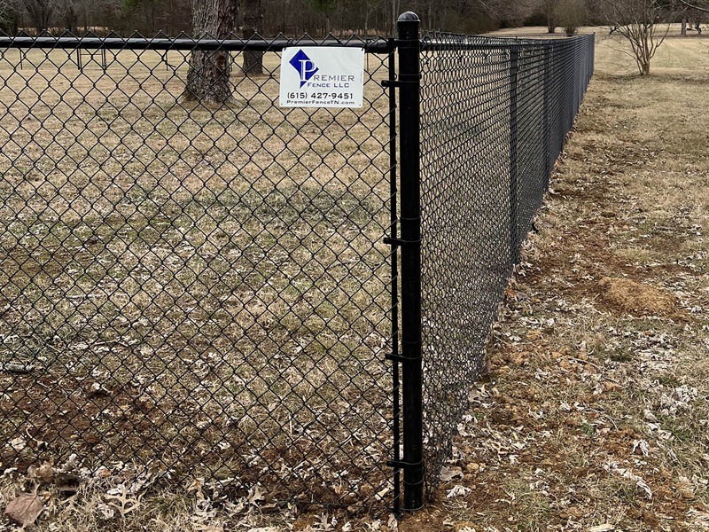 Chain Link fence options in the columbia-tennessee area.